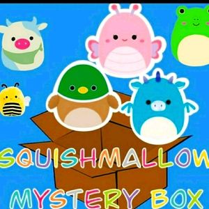 2 Squishmallow Mystory box